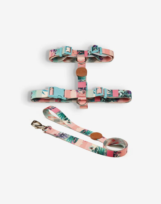 The H-Harness + Leash Set Laguna