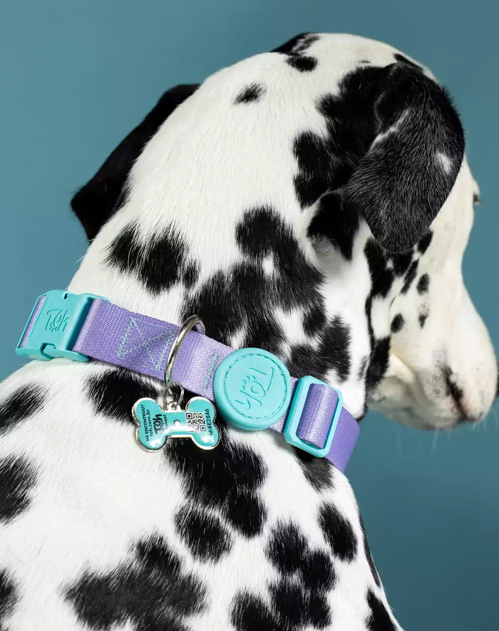 Adjustable Dog Collar with ID Tag Lilac