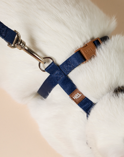 Cat H Harness + Leash Navy Blue - Khaki