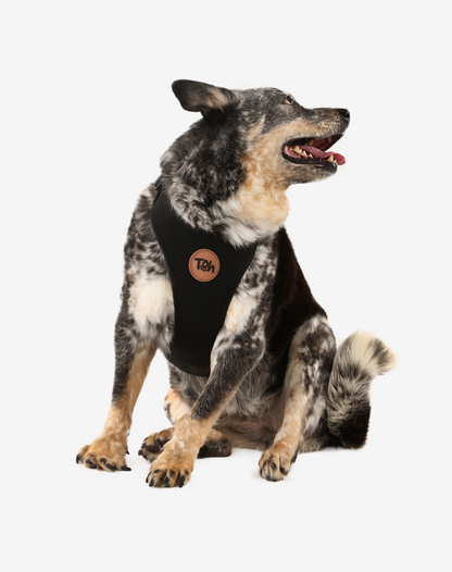 H-Mesh Dog Harness Black