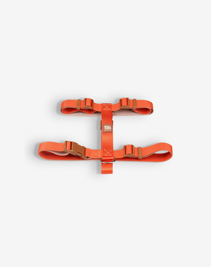 Dog H Harness Orange - Khaki