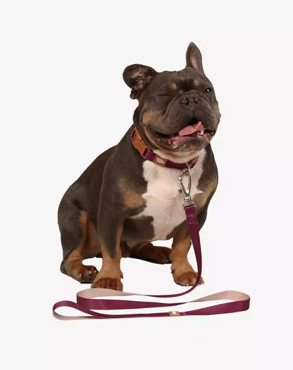 Dog Leash Basic Collection 1,20m Burgundy - Khaki