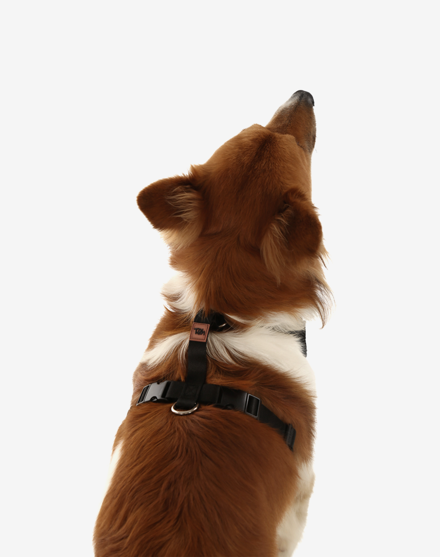 H-Mesh Dog Harness Black