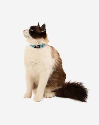 Cat Collar Blue