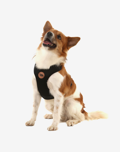 H-Mesh Dog Harness Black