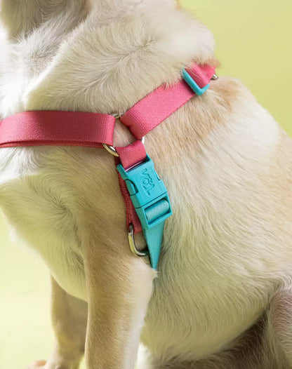 No Pull Dog Harness and Leash Set Fiji