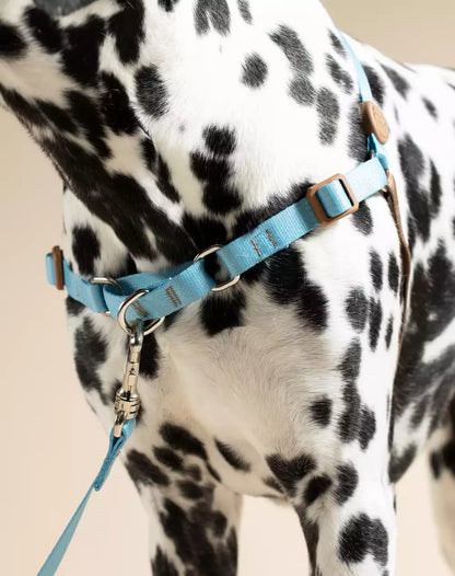 No Pull Dog Harness and Leash Set Black