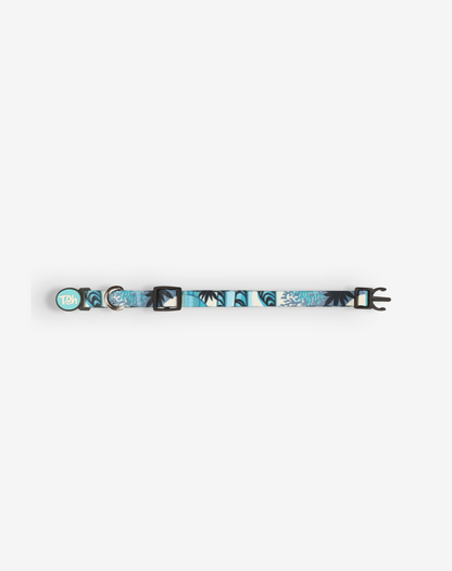 Cat Collar Noronha