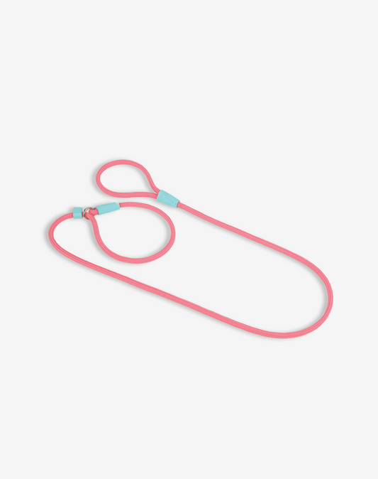 Rope Slip Dog Lead Fiji