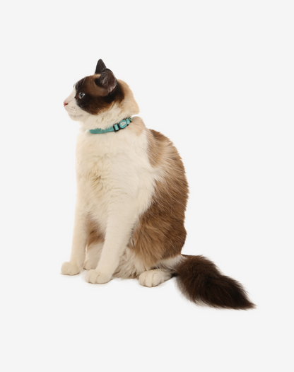 Cat Collar Maresia