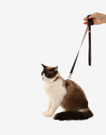 Cat H Harness + Leash Black - Khaki