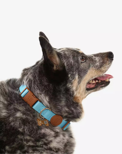 Adjustable Dog Collar with ID Tag Blue