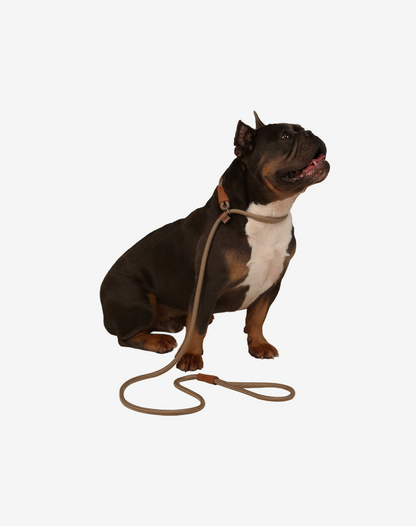 Rope Slip Dog Lead Khaki