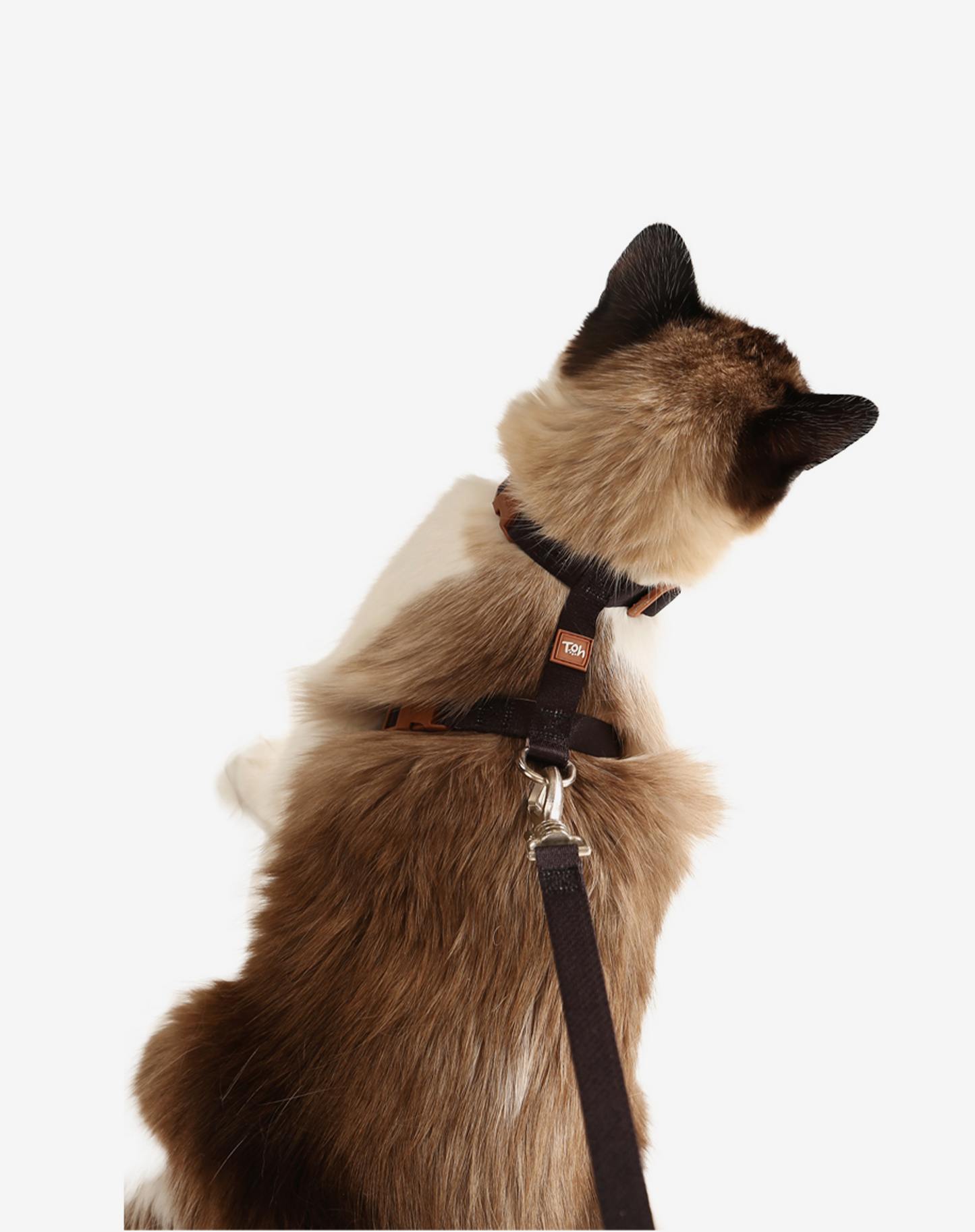 Cat H Harness + Leash Black - Khaki