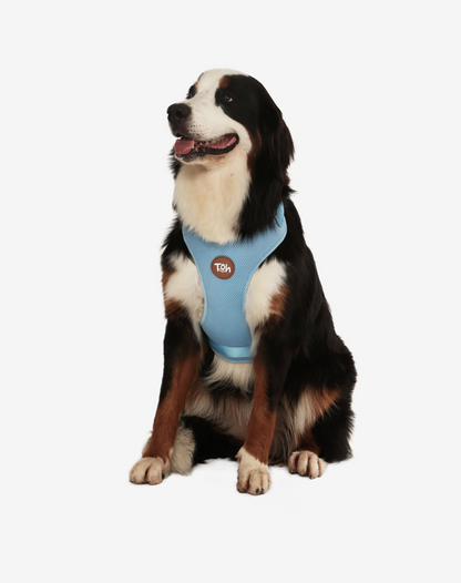 H-Mesh Dog Harness Blue