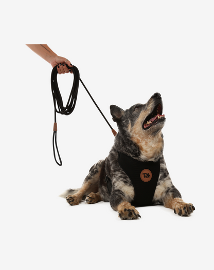 Long Rope Dog Leash 17ft - Black