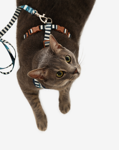 Cat H-Harness Comfort + Leash Set Noronha