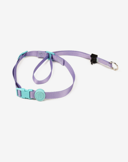 Dog Headcollar Lilac