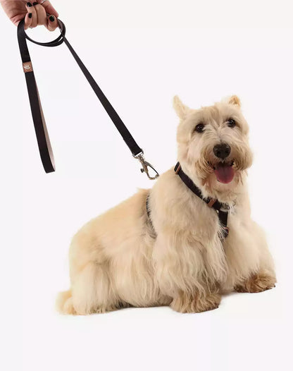 Dog Leash Basic Collection 1,20m Black - Khaki