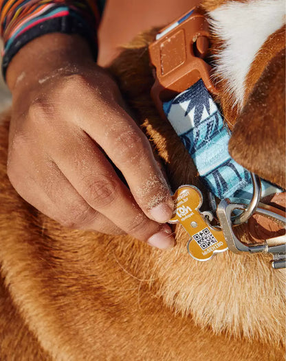 Adjustable Dog Collar with ID Tag Noronha