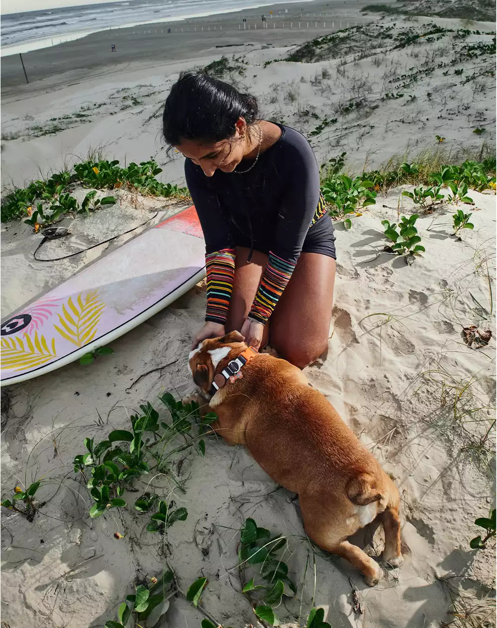 Adjustable Dog Collar with ID Tag Eclipse