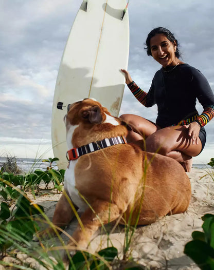 Adjustable Dog Collar with ID Tag Eclipse