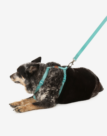 The H-Harness + Leash Set Maresia