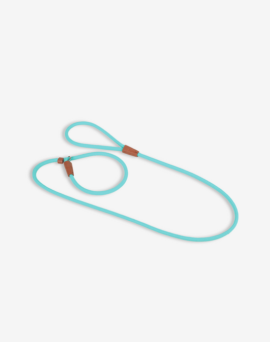 Rope Slip Dog Lead Turquoise