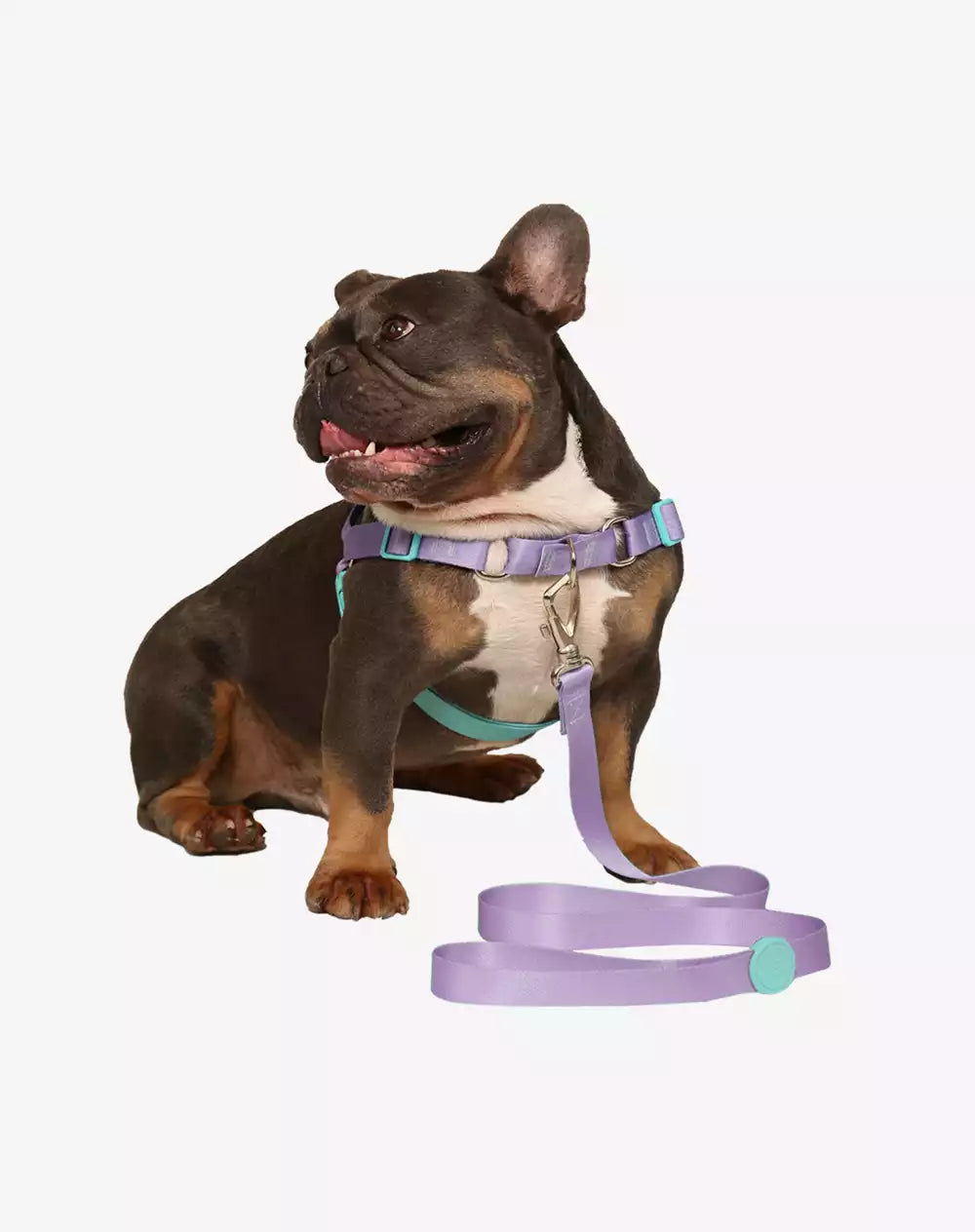 No Pull Dog Harness and Leash Set Lilac