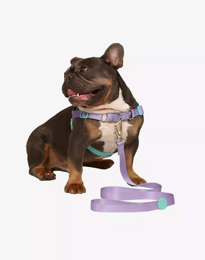 No Pull Dog Harness and Leash Set Lilac