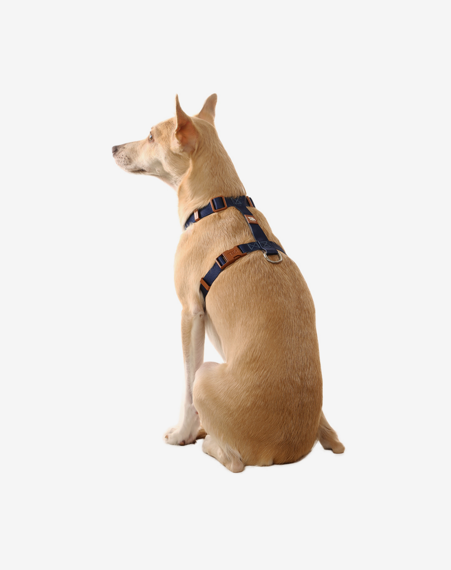 Dog H Harness Navy Blue - Khaki