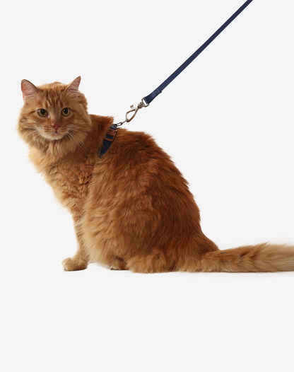 Cat H Harness + Leash Navy Blue - Khaki