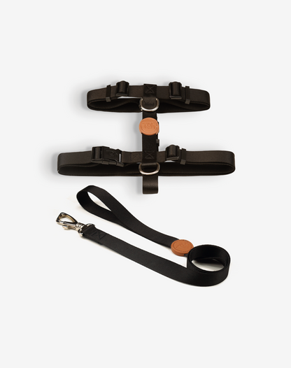 The H-Harness + Leash Set Black