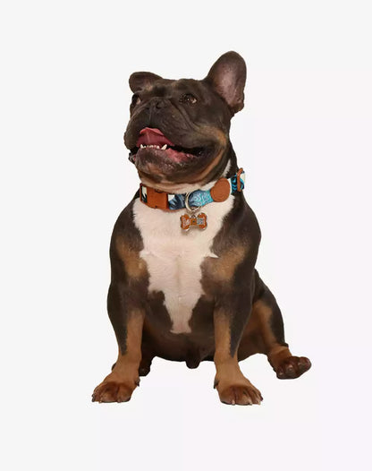 Adjustable Dog Collar with ID Tag Noronha