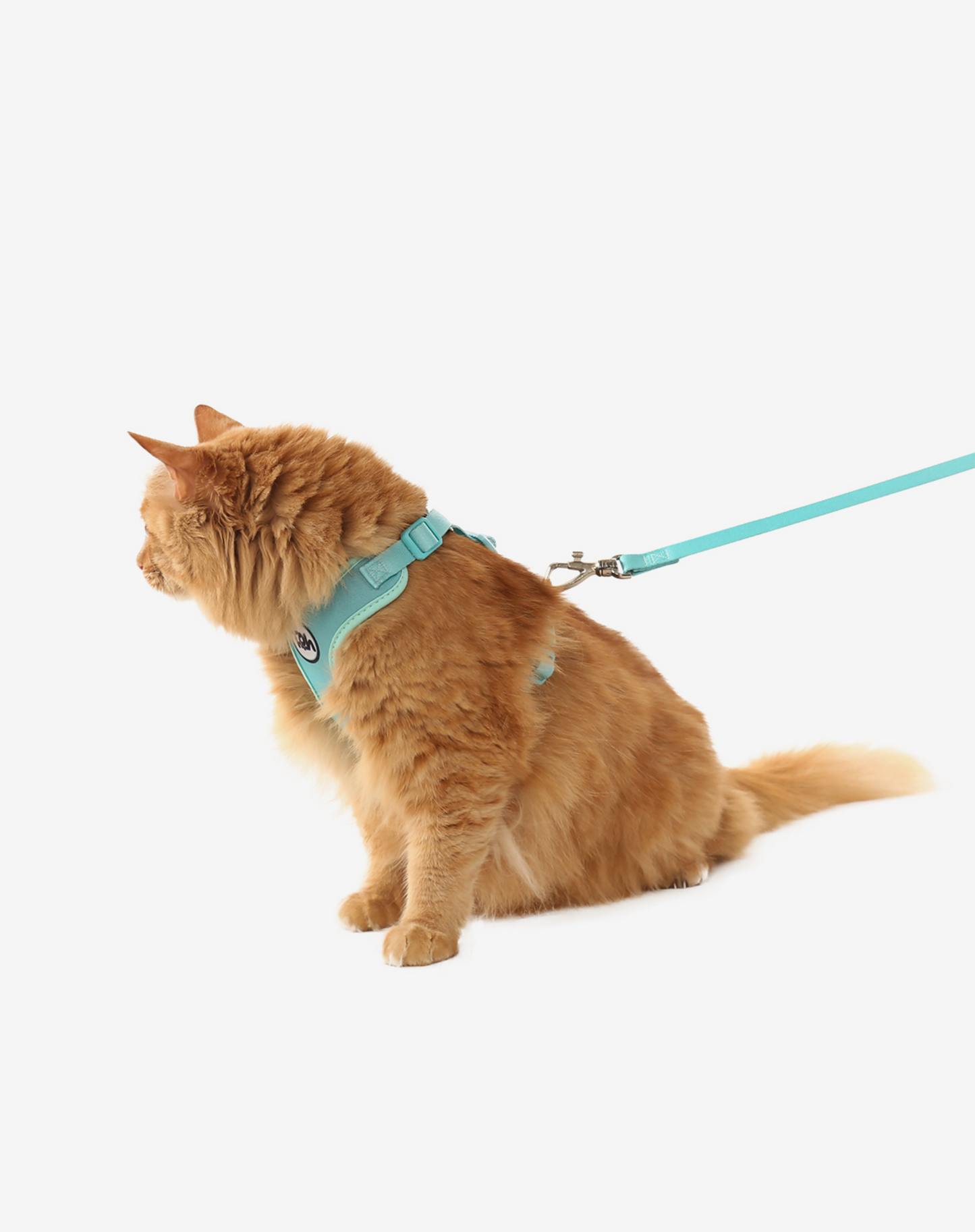 Cat H-Harness Comfort + Leash Set Maresia