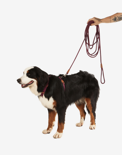 Rope Long Dog Leash 17ft - Burgundy