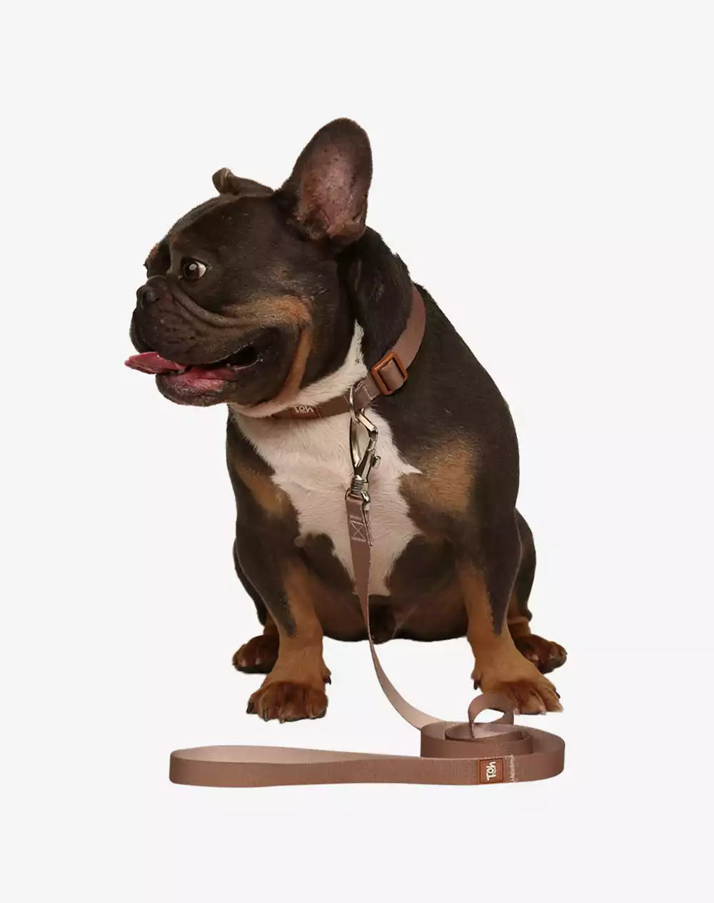 Dog Leash Basic Collection 1,20m Khaki - Khaki