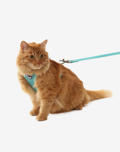 Cat H-Harness Comfort + Leash Set Maresia
