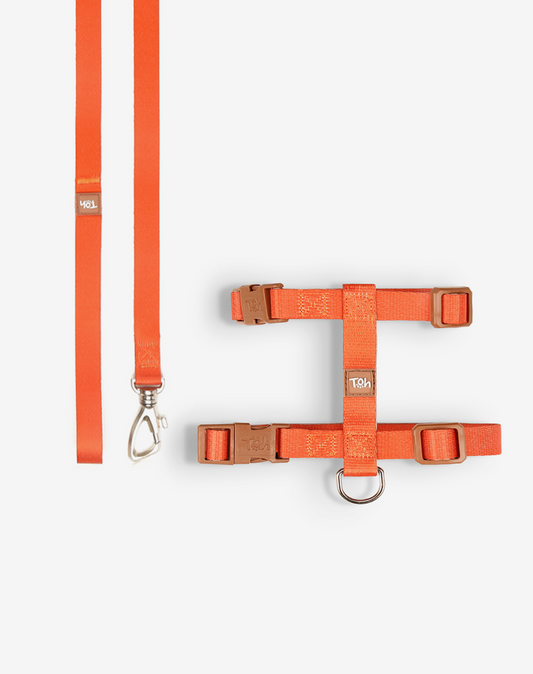 Cat H Harness + Leash Orange - Khaki