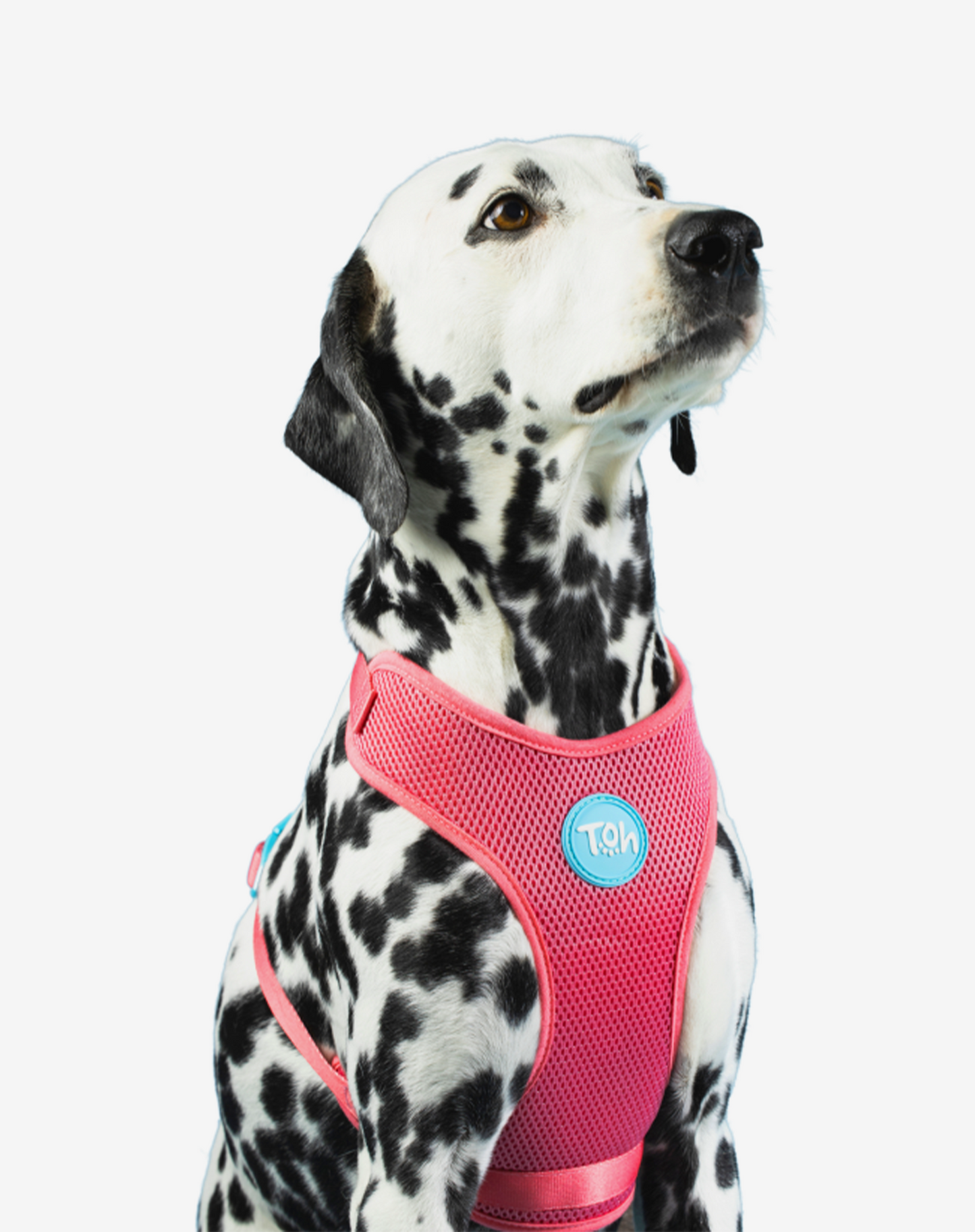H-Mesh Dog Harness Fiji