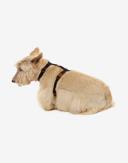 Dog H Harness Black - Khaki