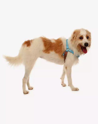 No Pull Dog Harness and Leash Set Black