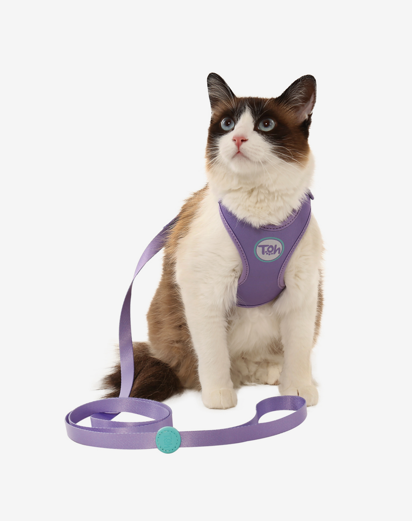 Cat H-Harness Comfort + Leash Set Lilac