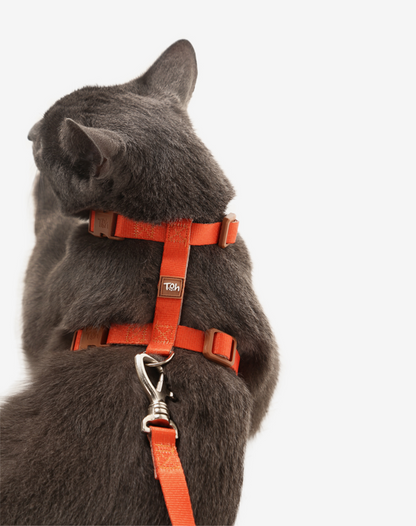 Cat H Harness + Leash Orange - Khaki