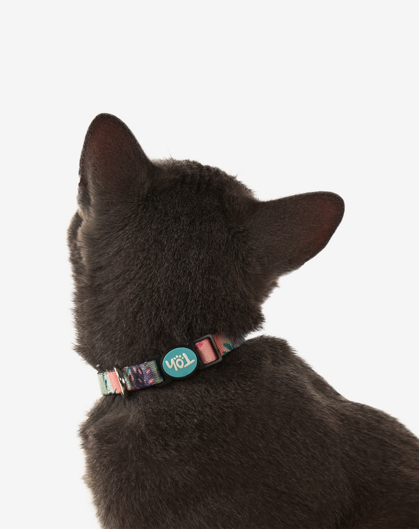 Cat Collar Laguna