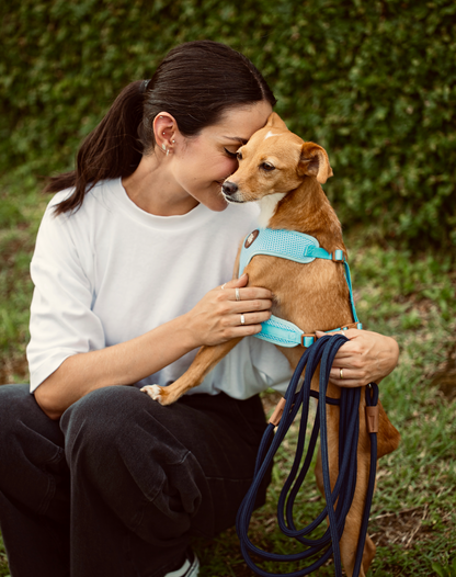 Rope Long Dog Leash 17ft - Navy Blue