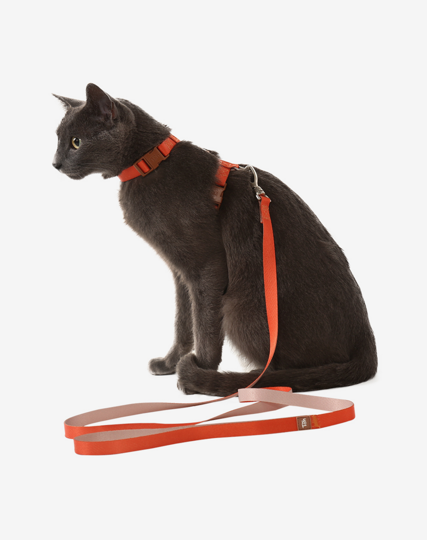 Cat H Harness + Leash Orange - Khaki