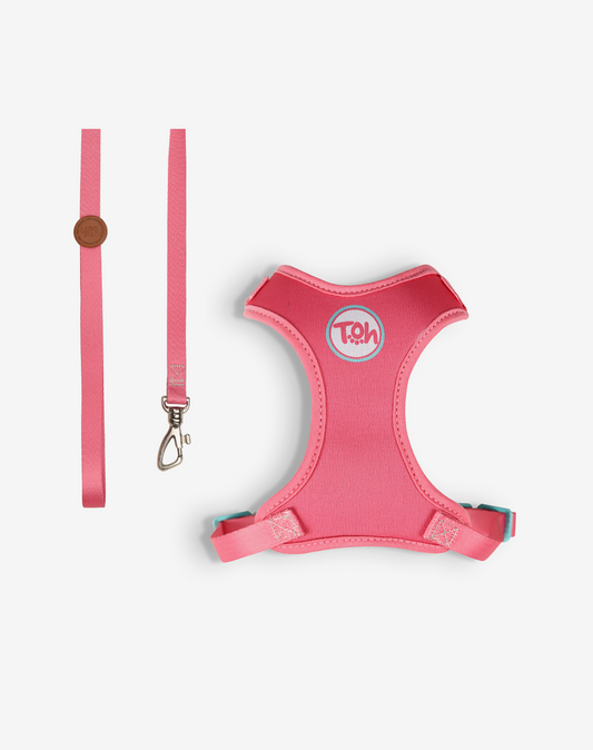 Cat H-Harness Comfort + Leash Set Fiji