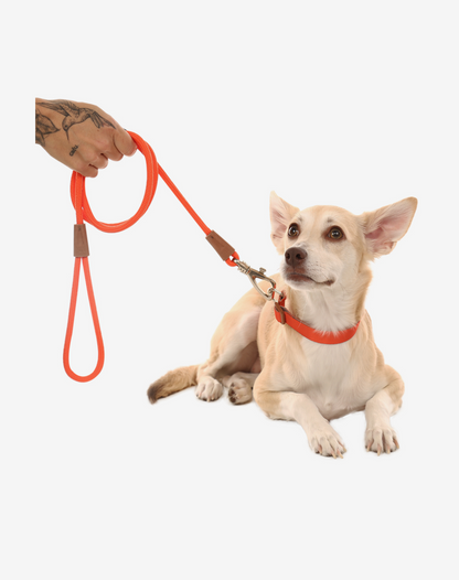 1.20m Rope Dog Leash Orange