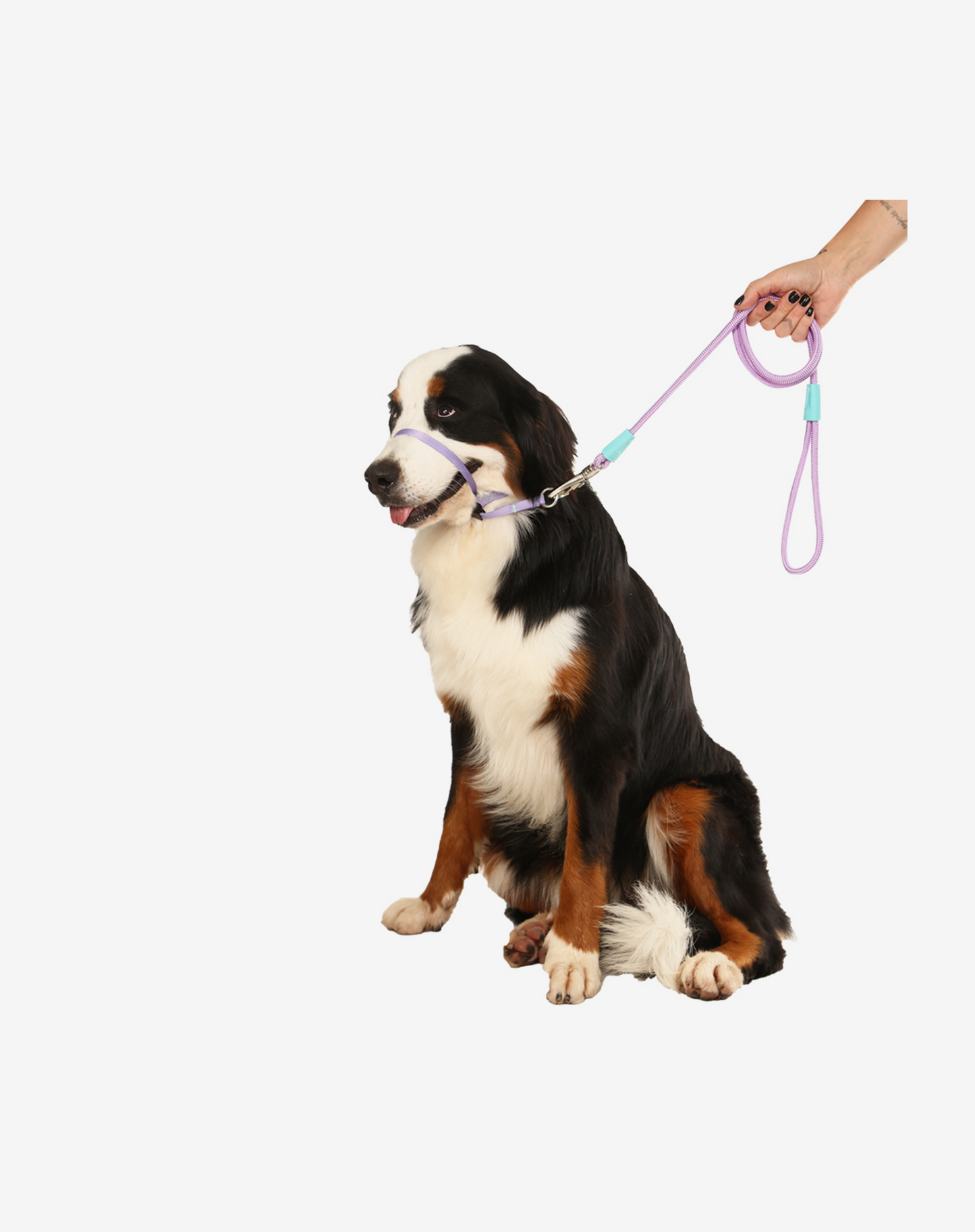 1.20m Rope Dog Leash Lilac